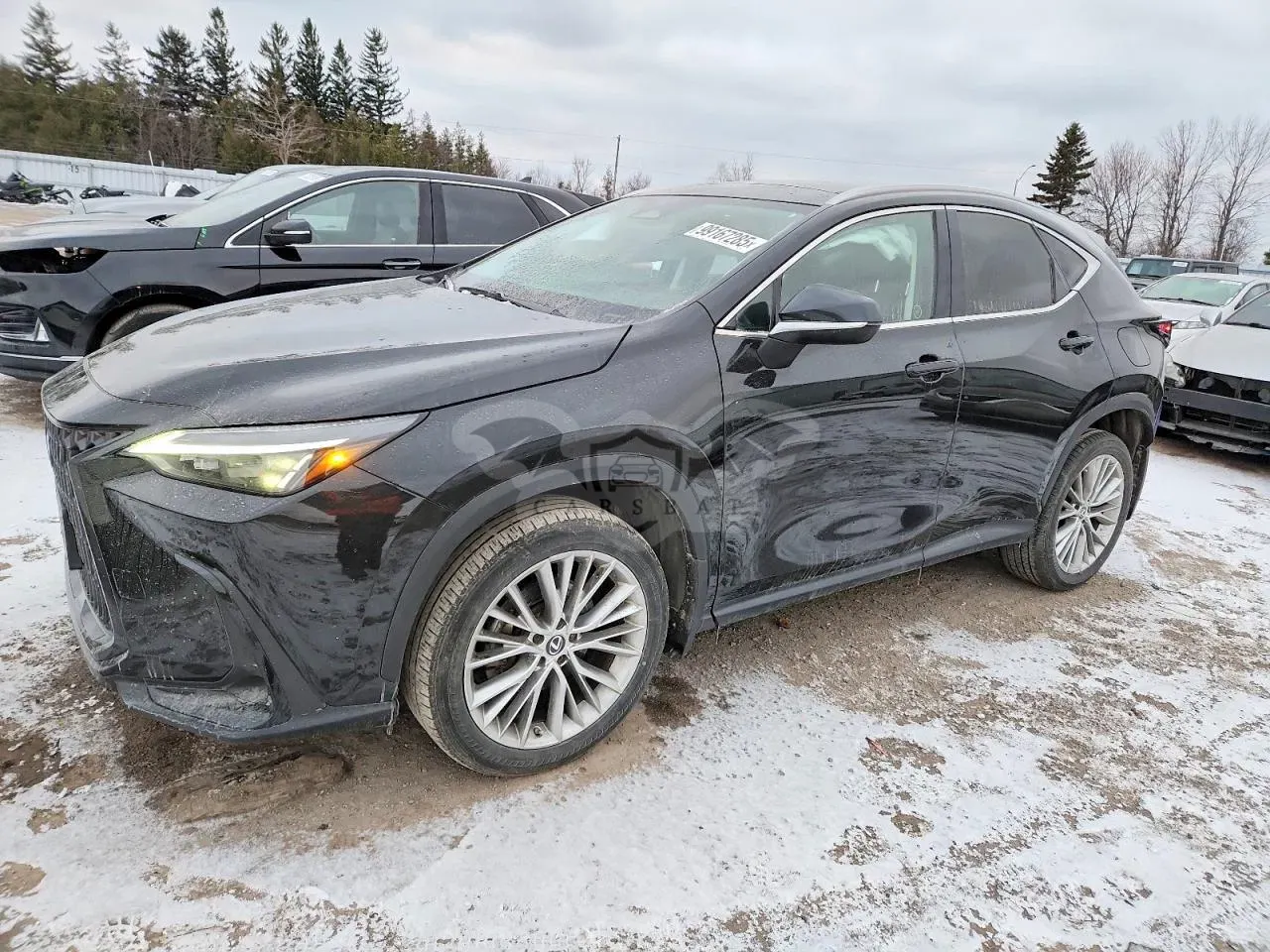 Lexus NX 350 2.4L 4 2023