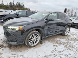 Lexus NX 350 2.4L 4 2023