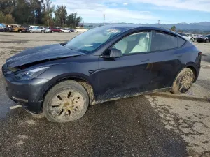 Tesla Model Y 2024