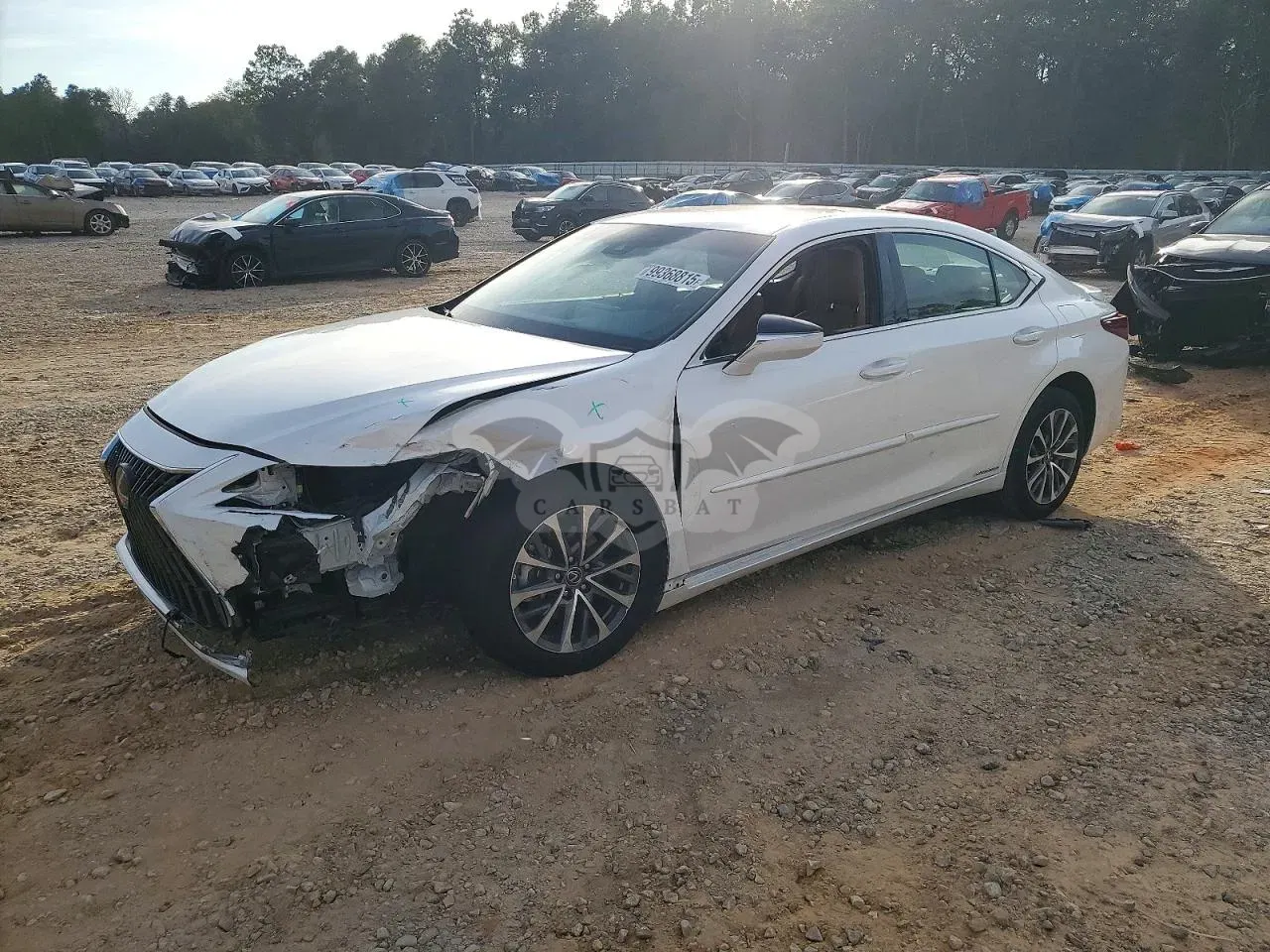 Lexus ES 300H BASE 2.5L 4 2022
