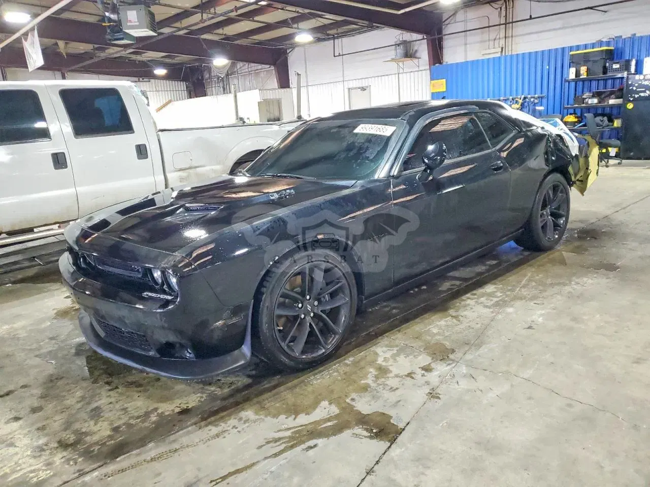 Dodge Challenger R/T 5.7L 8 2022