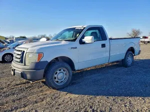 Ford F-150 4.6L 8 2010