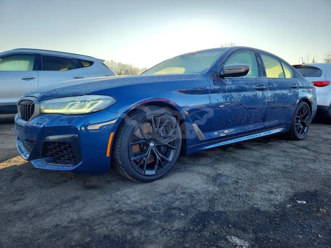 BMW 5 Series 4.4L 8 2023