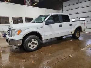 Ford F-150 SUPERCREW 4.6L 8 2010
