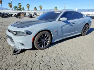 Dodge Charger SCAT PACK 6.4L 8 2021