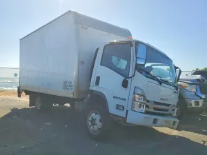 Isuzu NPR 6.6L 8 2024