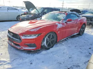 Ford Mustang 2.3L 4 2024