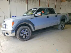 Ford F-150 SUPERCREW 5.0L 8 2013