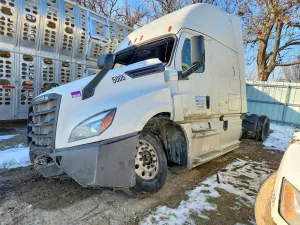 Freightliner Cascadia 14.8L 6 2019
