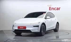 Tesla Model y Long Range AWD 2025