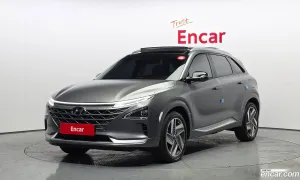 Hyundai Nexo Premium 2023