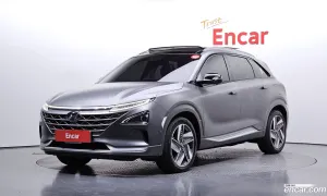 Hyundai Nexo Premium 2020