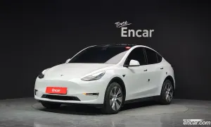 Tesla Model y Standard Range RWD 2021