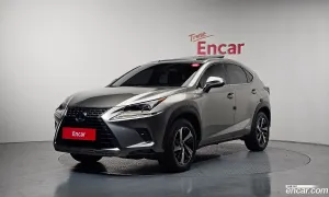 Lexus Nx Executive 2017