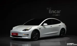 Tesla Model 3 Long Range AWD 2021