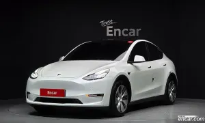 Tesla Model y Long Range AWD 2021
