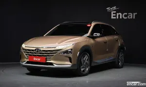 Hyundai Nexo Premium 2020