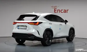 Lexus Nx Premium 2024
