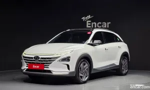 Hyundai Nexo Premium 2021