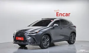 Lexus Nx Luxury 2025