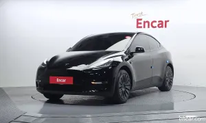 Tesla Model y Standard Range RWD 2021