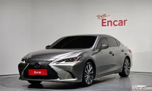 Lexus Es Luxury 2019