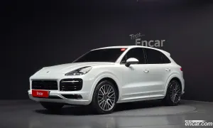 Porsche Cayenne 3.0 PLATINUM EDITION 2022