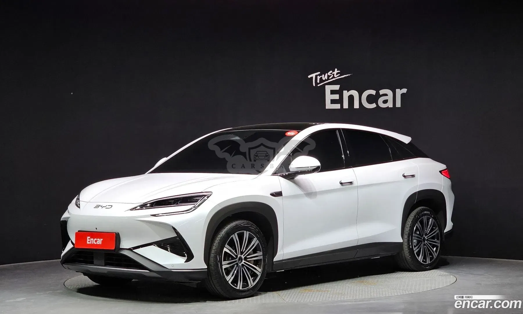 Byd Sealion 7 Base 2025