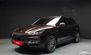 Porsche Cayenne 3.0 E-HYBRID PLATINUM EDITION 2023