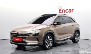 Hyundai Nexo Premium 2020