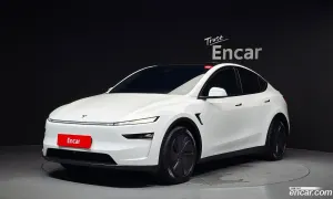 Tesla Model y Long Range AWD 2025