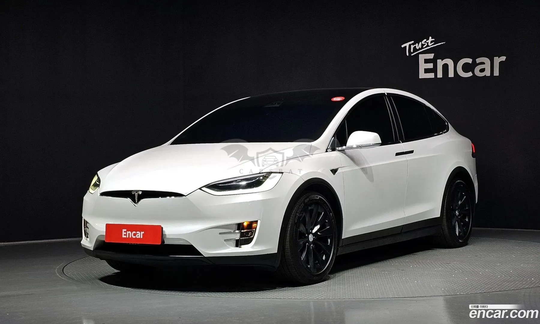 Tesla Model x 100D 2019