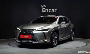 Lexus Ux 2.0 AWD 2019