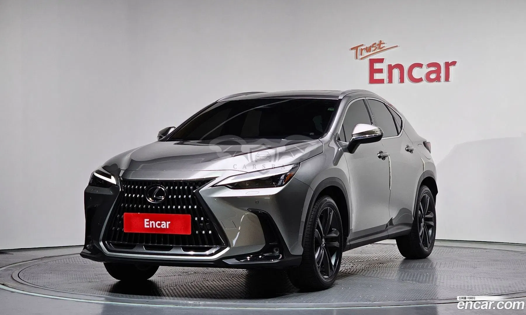 Lexus Nx Premium 2025