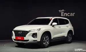 Hyundai Santafe Exclusive Diesel 2.0 2WD 2019