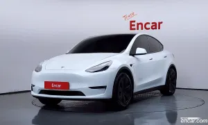 Tesla Model y Standard Range RWD 2021