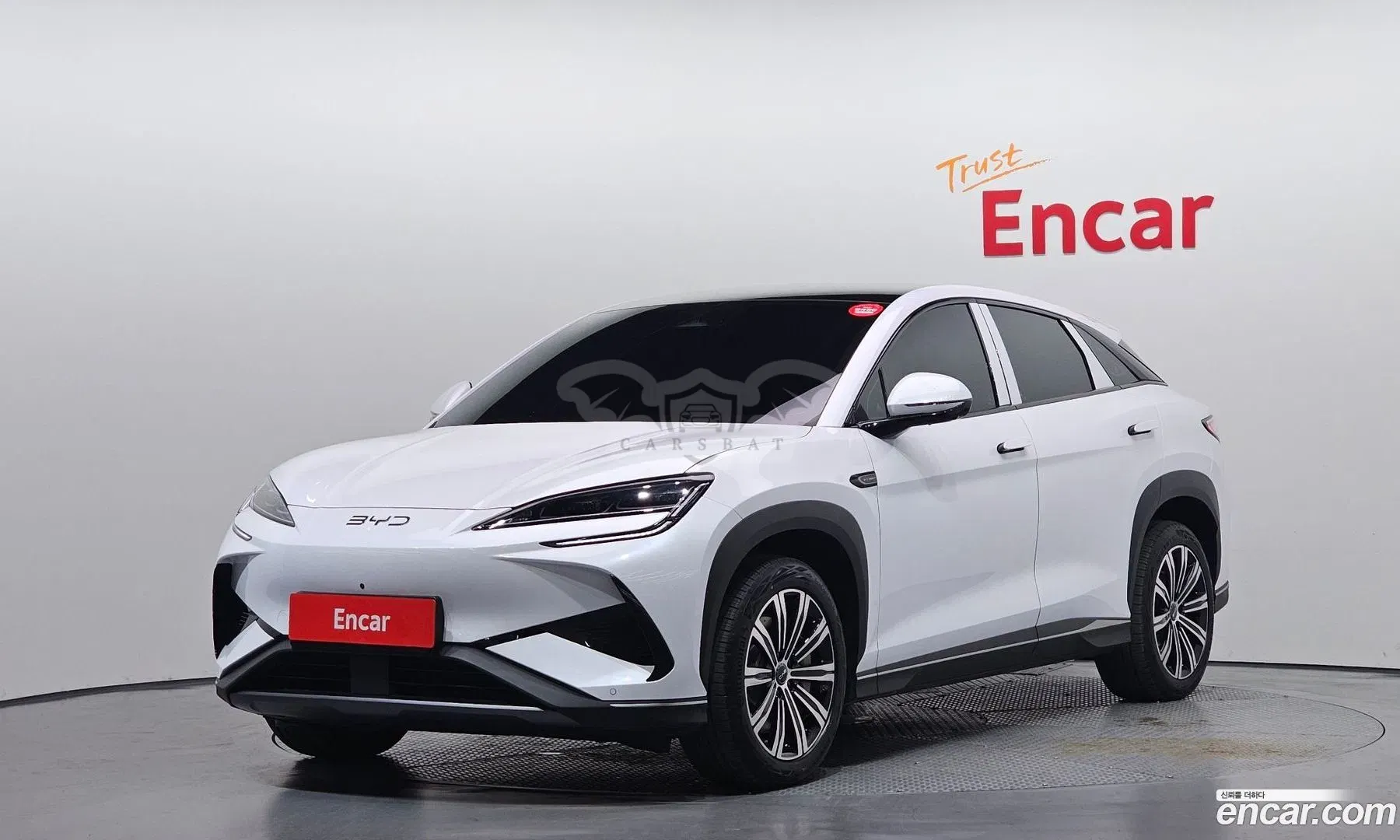 Byd Sealion 7 Base 2026