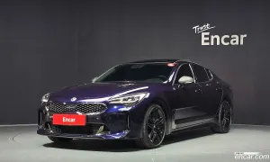 Kia Stinger 2.5 Masters 2020