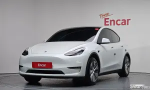 Tesla Model y Standard Range RWD 2021