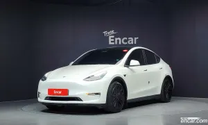 Tesla Model y Standard Range RWD 2021