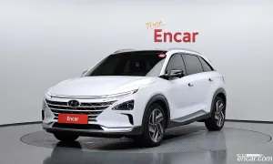 Hyundai Nexo Premium 2023