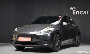 Tesla Model y Long Range AWD 2024