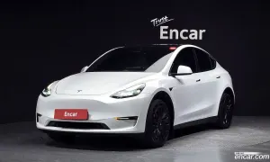 Tesla Model y Standard Range RWD 2021