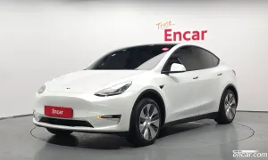 Tesla Model y Standard Range RWD 2021