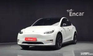 Tesla Model y Long Range AWD 2021