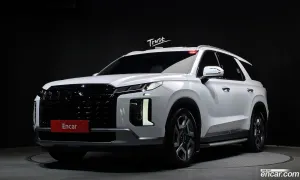 Hyundai Palisade Le Blanc Gasoline 3.8 4WD 2024