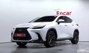 Lexus Nx Premium 2024
