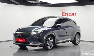 Hyundai Nexo Premium 2020