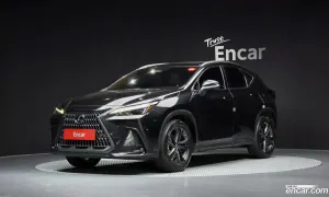 Lexus Nx Premium 2023
