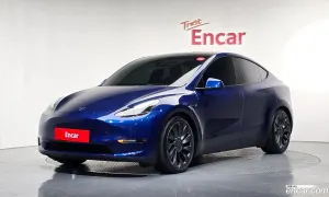 Tesla Model y Performance AWD 2021